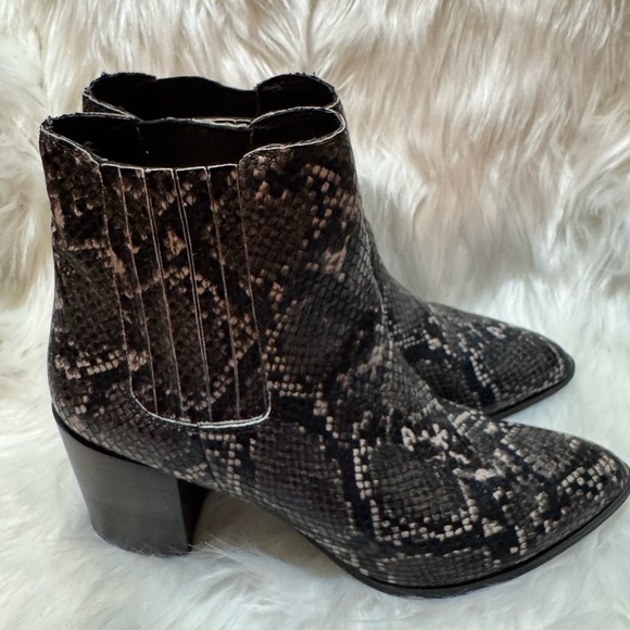 Steve Madden Black and Gray Ankle Booties Snakeskin Print - Picture 4 of 8